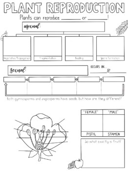 Preview of Plant Reproduction Sketch Notes