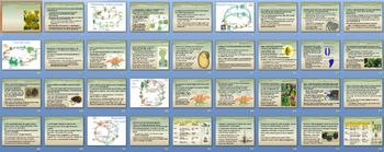 Preview of Plant Reproduction Smartboard Notebook Presentation Lesson Plan