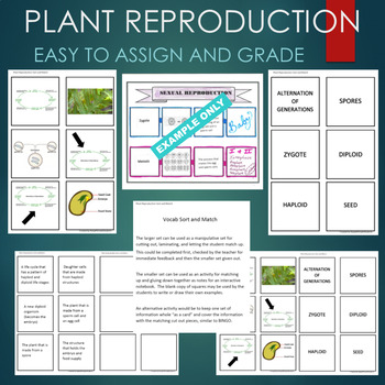 Plant Reproduction (Spore, Diploid, Haploid) Sort and Match STATIONS ...