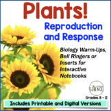 Plant Reproduction Bell Ringers and Warm Ups - Plant Kingdom