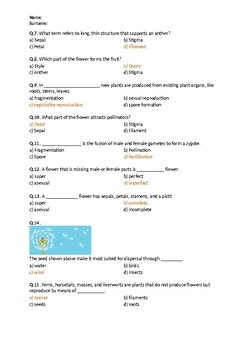 Plant Reproduction - Worksheet by Science Worksheets | TpT