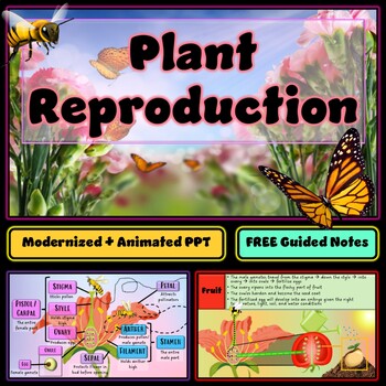 Preview of Plant Reproduction and Flower Structure & Function Animated PowerPoint Slideshow