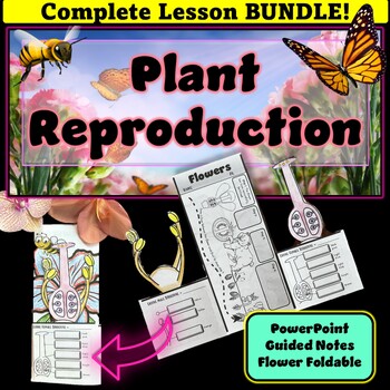 Preview of Plant Reproduction and Flower Structure and Function Lesson BUNDLE