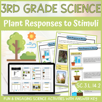 Preview of Plant Response to Stimuli Activity & Answer Key 3rd Grade Life Science