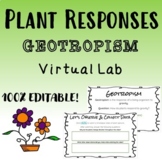 Plant Responses Geotropism Virtual Lab