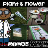 Plant STEAM Activities and Challenges
