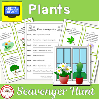 Preview of Plant Scavenger Hunt plus bonus graphic organizer