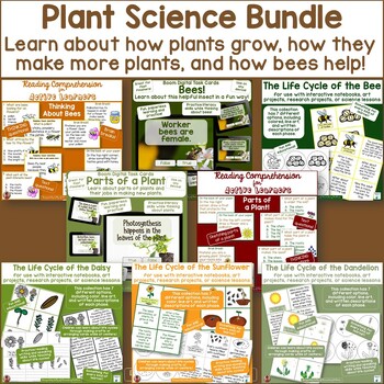 Preview of Plant Science Including Life Cycles, Plant Parts, and Pollination With Bees