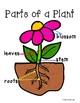 Plant Science Unit - Plant Life Cycle / Photsynthesis / Plant Parts