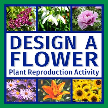 Preview of Plant Sexual Reproduction Activity Design a Flower NGSS MS-LS1-4 MS-LS3-2