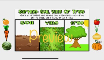 Preview of Plant Sorting: Soil, Vine or Tree Interactive Google Slide