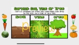 Plant Sorting: Soil, Vine or Tree Interactive Google Slide
