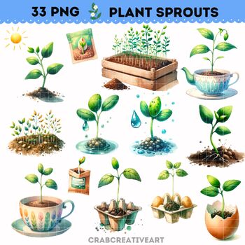 Preview of Plant Sprout Clipart Set for School Bulletin Boards and Educational Crafts