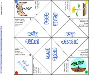 Preview of Plant Structure Cootie Catcher