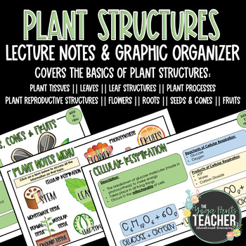 Preview of Plant Structure & Function Notes and Graphic Organizer (Lecture Series)