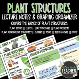 Plant Structure & Function Notes and Graphic Organizer (Le