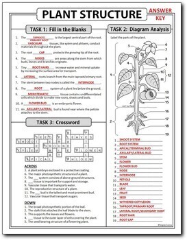 homework plant systems answers