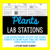 Plant Structure Lab Station Activity
