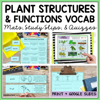 Preview of Plant Structure Vocabulary Activities Print w Google Slides