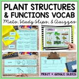 Plant Structure Vocabulary Activities Print w Google Slides
