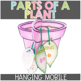 Parts of a Plant Mobile Activity