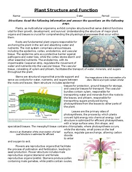 Preview of Plant Structure and Function: Informational Text, Images, and Assessment