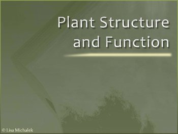 Preview of Plant Structure and Function PowerPoint Presentation Lesson Plan
