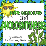 Plant Structure and Photosynthesis:  Reading Comprehension