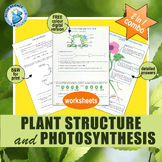 Plant Structure and Photosynthesis (interactive PowerPoint)