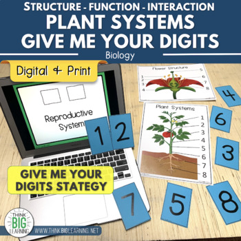 homework plant systems interactions
