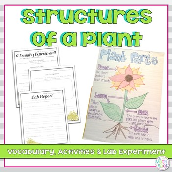 Preview of Parts of a Plant Vocabulary and Activities