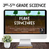 Plant Structures PowerPoint Lesson
