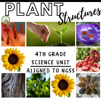 Preview of 4th Grade Science: Plant Structures (NGSS Aligned)