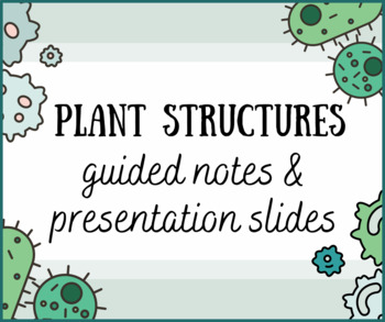 Preview of Plant Structures Guided Notes and Presentation