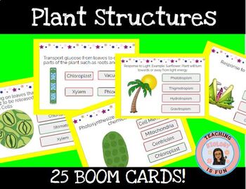 Preview of Plant Structures Plants Boom Cards Digital Resource Biology STAAR