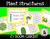 Plant Structures Plants Boom Cards Digital Resource Biology STAAR