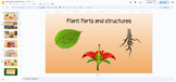 Plant Structures Slideshow (Lesson)