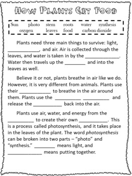 Plant Structures and Classification by Strengthen the Core | TPT