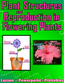 Plant Structures and Flowering Plant Reproduction - Lesson, PPT, Printables