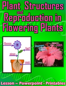 Preview of Plant Structures and Flowering Plant Reproduction - Lesson, PPT, Printables