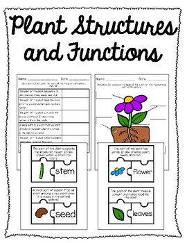 Preview of Plant Structures and Functions Matching Puzzles Worksheet and Quiz