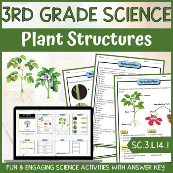 Preview of Plant Structures and Functions Activity & Answer Key 3rd Grade Life Science