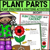 Plant Structures and Functions | Label Parts of a Plant Wo