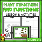 Plant Structures and Functions | Parts of Plants | Living Systems