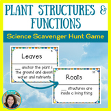 Plant Structures and Functions Science Center - Scavenger 