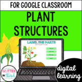 Parts of a Plant Structures activities for Google Classroom