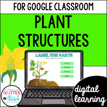 Preview of Parts of a Plant Structures activities for Google Classroom
