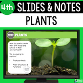 Plant Structures and Photosynthesis Slides & Notes Workshe