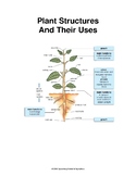 Plant Structures and their Uses - Crossword