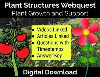 Preview of Plant Structures for Support and Growth Webquest